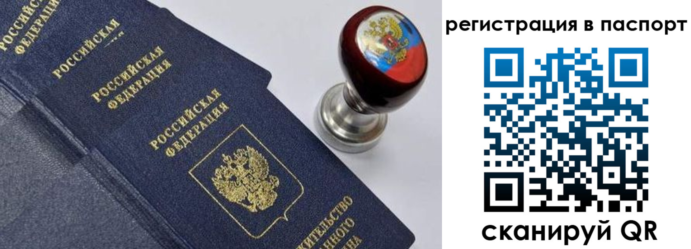 прописка поиск в Тайге